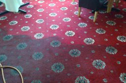 Restaurant Carpet Cleaning
