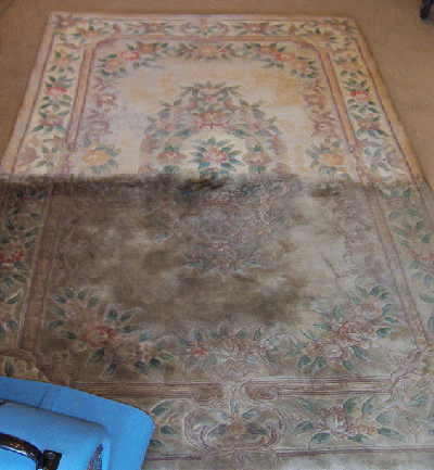 Rug Cleaning Example